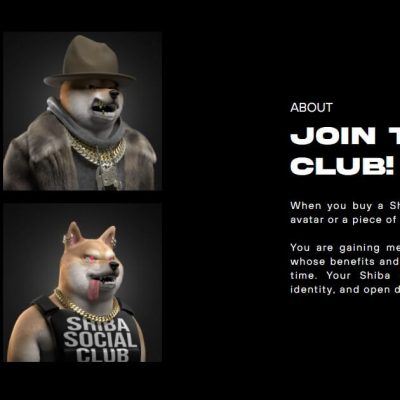 Screenshot - Shiba Social Club