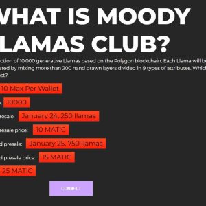 Screenshot - Moody Llamas Club