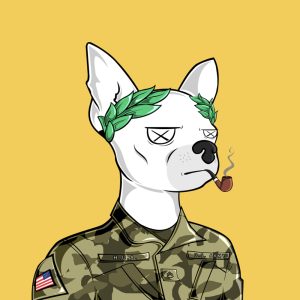 Chihuahua Army