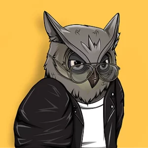 Night Owl Syndicate