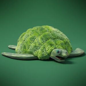 Slow Turtles