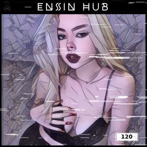 Ensin Hub Community