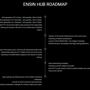 Screenshot - Ensin Hub Community